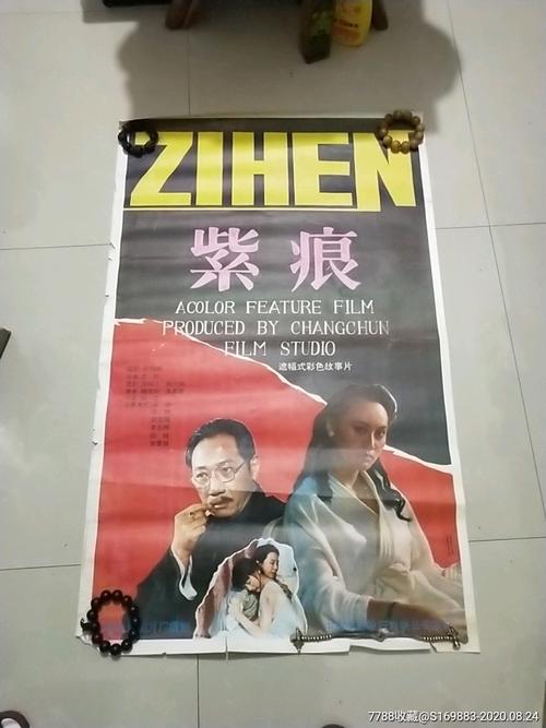 阳光海岸大学商科文凭证书
